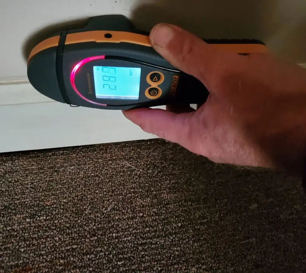 Moisture detection at baseboard during Sewage Cleanup & Sanitation in Bentonville